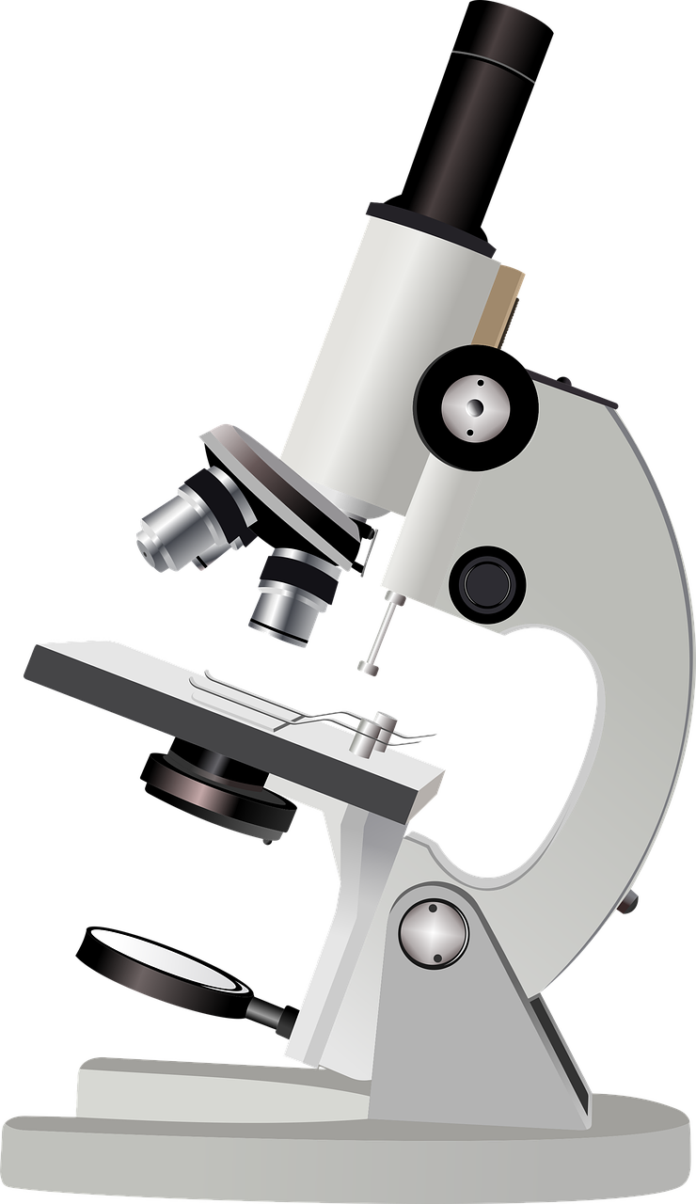 microscope-7445204_1280