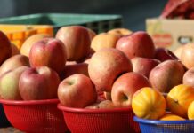 정부, 민생정책·사업 신속지원 총력…1분기 40% 이상 재정 조기 집행