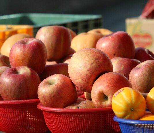 정부, 민생정책·사업 신속지원 총력…1분기 40% 이상 재정 조기 집행