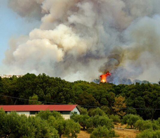 ‘산불 피해 현장지원반’ 7개반으로 확대…”이재민 지원에 집중”