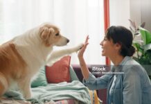 문체부, 우주펫 등 관광벤처 사업 140개 선정…최대 1억 원 지원