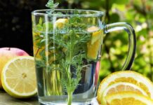 몸과 마음 치유하는 ‘우수웰니스관광지’ 11곳 신규 선정