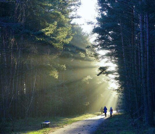 제1회 열린여행 주간…’관광취약계층’에 편의 및 할인 제공