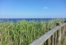 유인촌 장관, 강원 현장 점검…”문화로 지역 활력·발전 이끌 것”