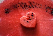 수박 출하량 늘며 가격 안정 기대…복날 앞둔 닭도 평년 수준 공급