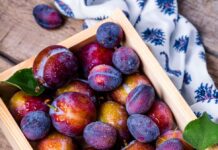 8월 농축산물 물가 4.4%↑…농식품부, 추석 물가 대비 총력