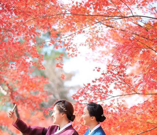 ‘케이-컬처’ 300조 원 시대 연다…문체부, 콘텐츠 예산 26% 확대