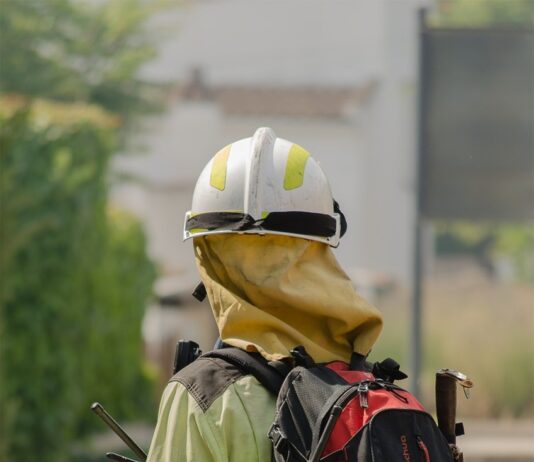 가을 산불 방지 총력 대응…산불대책본부 ’24시간 가동’