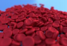 “운동은 몸의 생리 리듬을 되살린다”…하루 30분이 만드는 놀라운 변화