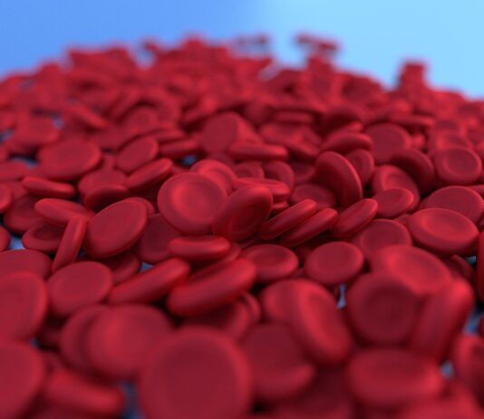 “운동은 몸의 생리 리듬을 되살린다”…하루 30분이 만드는 놀라운 변화