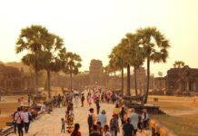 교육부-대학, 캄보디아 취업사기 등 대학생 피해 예방 긴급 대응 논의