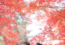 케이-컬처의 대표 ‘한복’의 모든 것…21~26일 ‘한복문화주간’