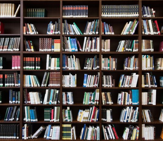 학생·교원 ‘헌법교육’ 대폭 확대…초·중 276개교 먼저, 내년 고교 포함